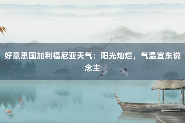 好意思国加利福尼亚天气：阳光灿烂，气温宜东说念主